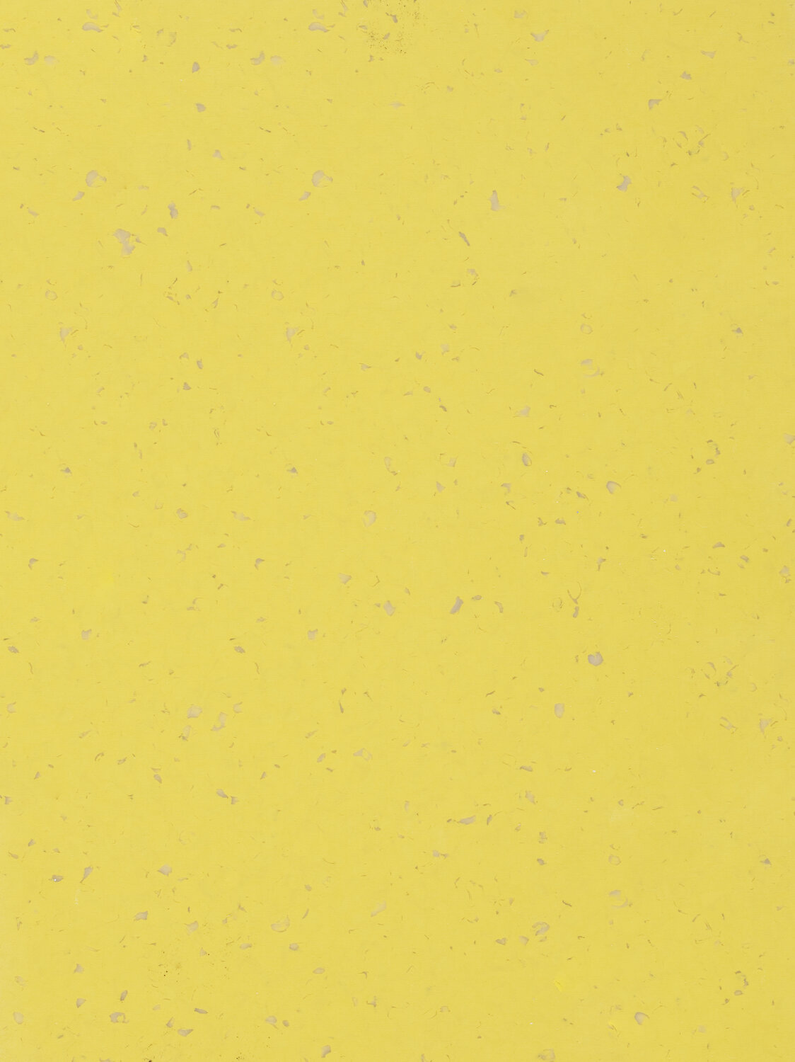 5422 SUNFLOWER