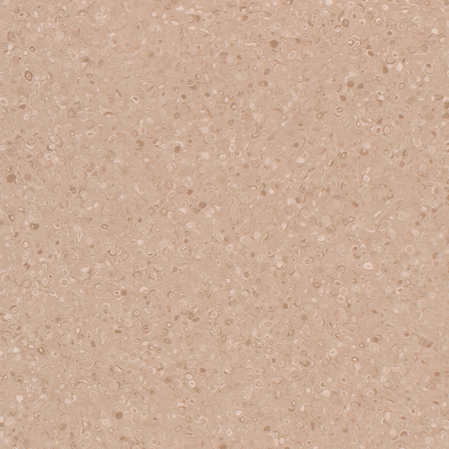 5030 Toffee