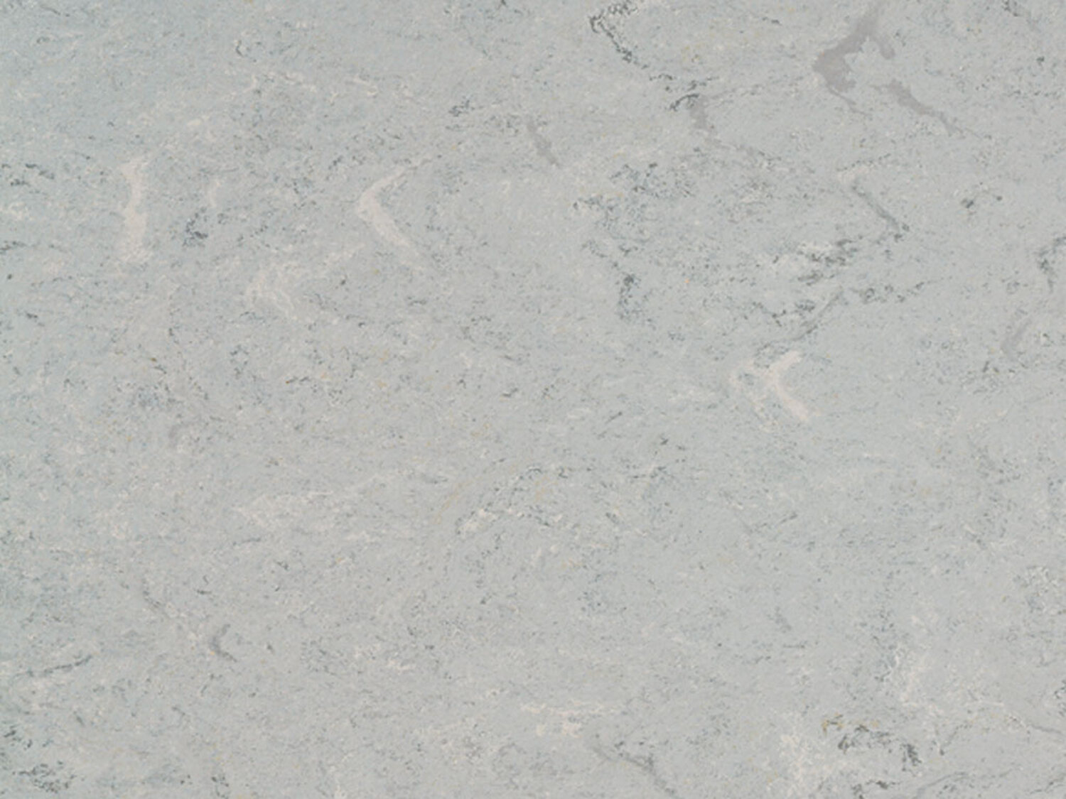 0055 ASH GREY