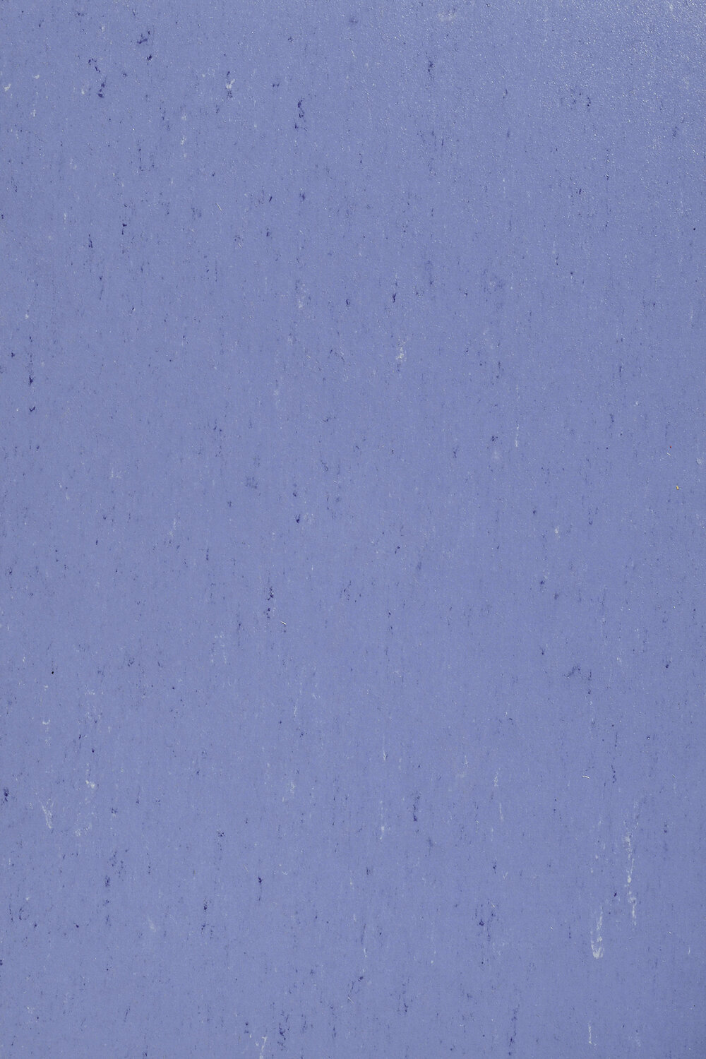 0004 BLUEBIRD