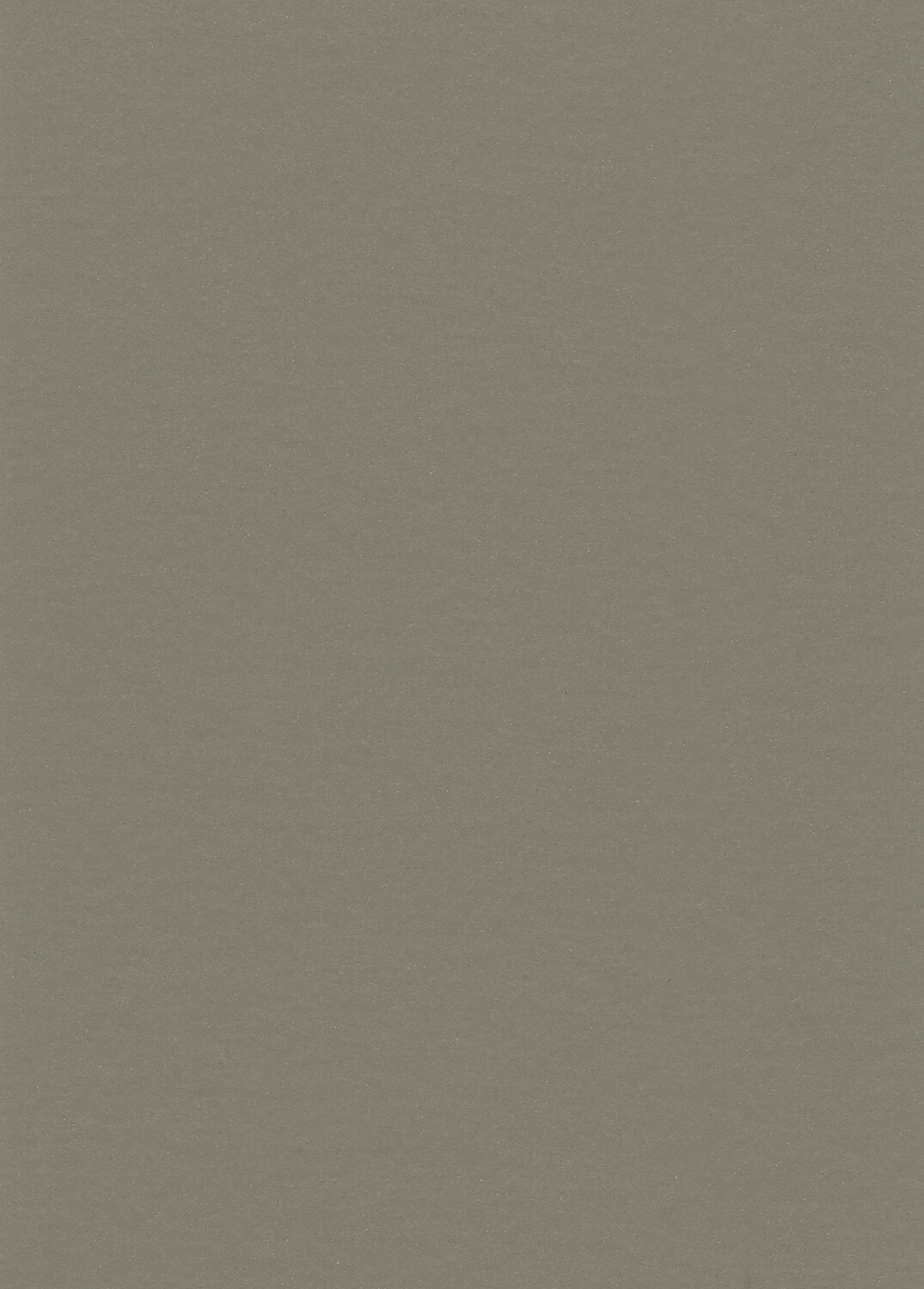 0058 CLAY GREY