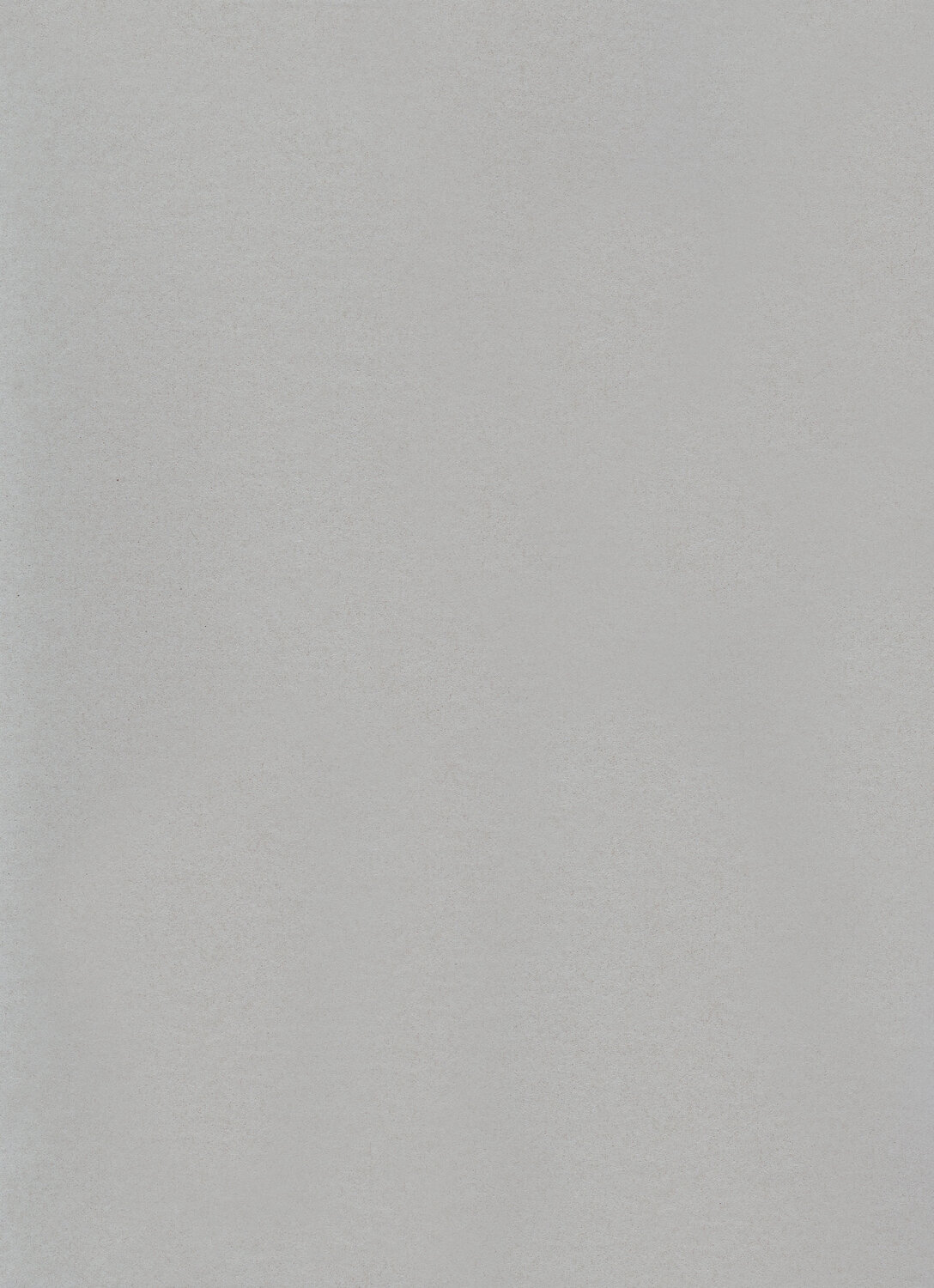 0081 NICKEL GREY
