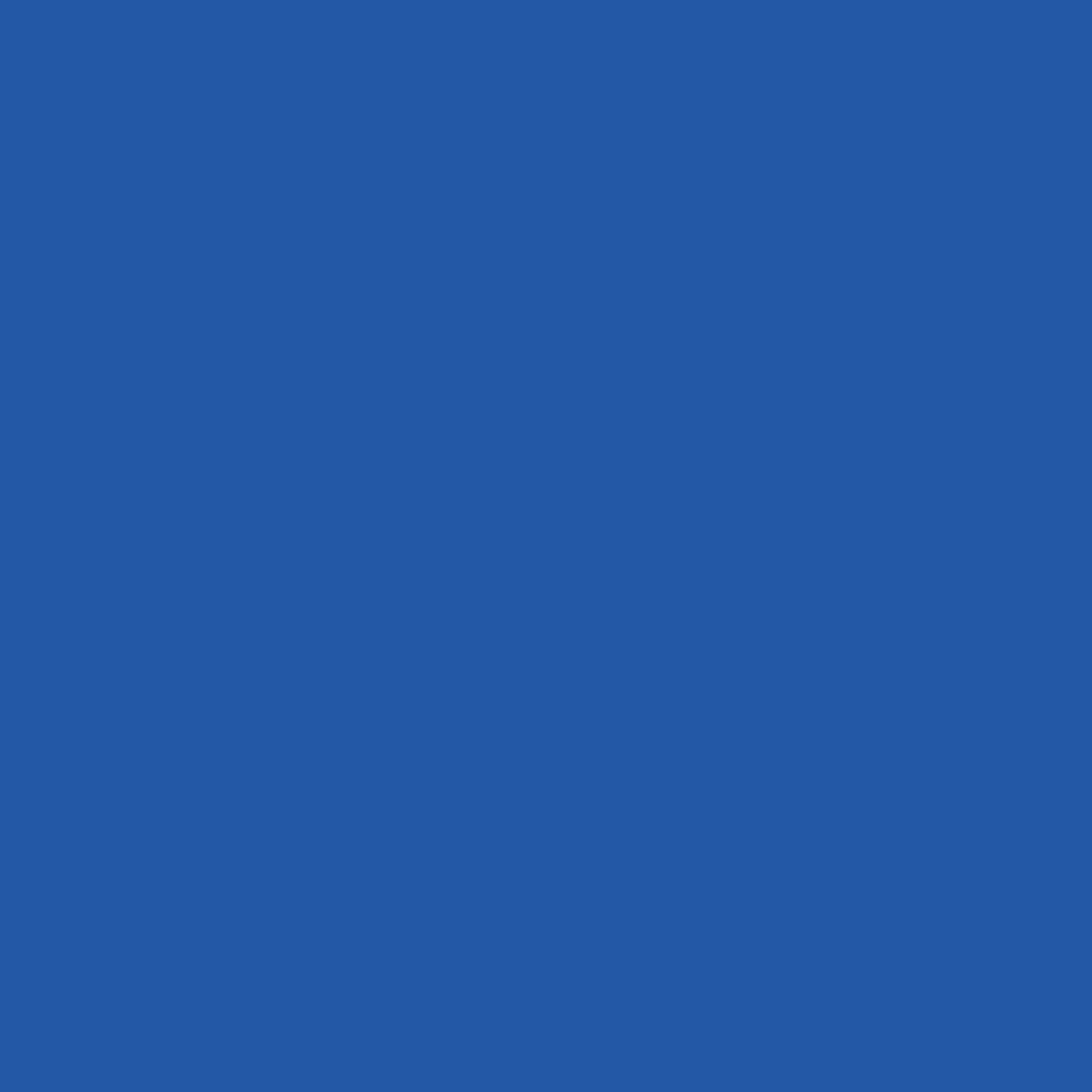0005 BRIGHT BLUE