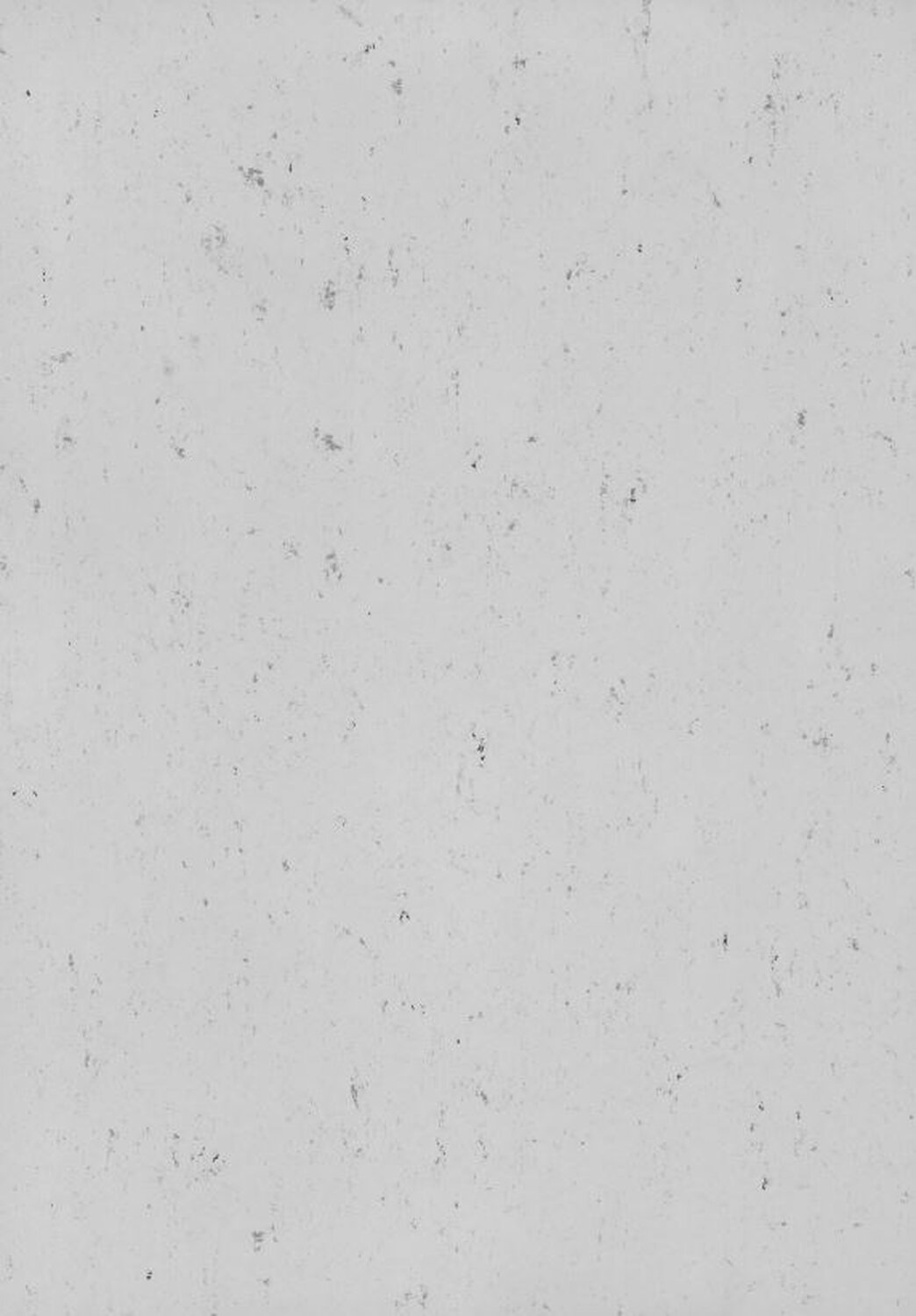 0052 OXID GREY