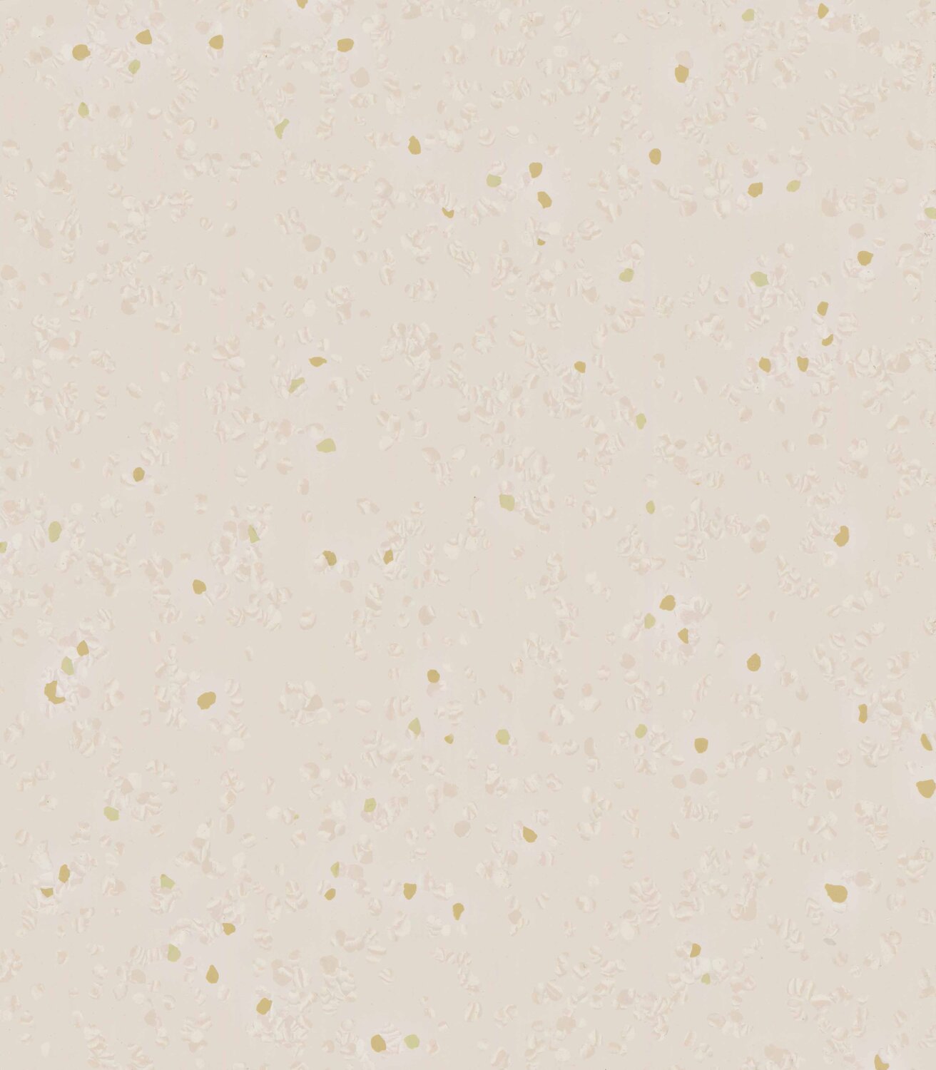 0008 CREAM